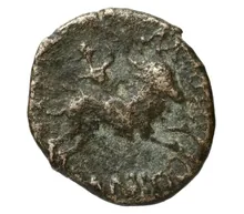 coin rev