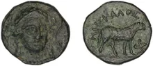 coin rev