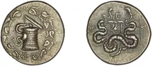 coin rev