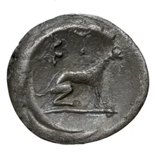 coin rev
