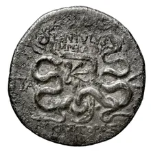 P. Lentulus P.f., governor of Cilicia rev