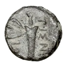 coin rev