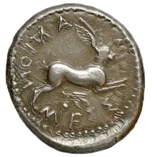 coin rev