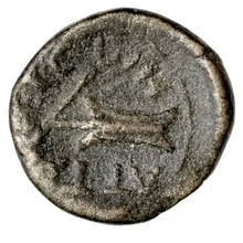 coin rev