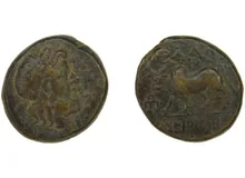 coin rev