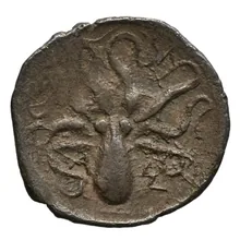 coin rev