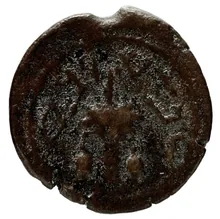 coin rev