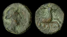 coin rev