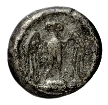 coin rev
