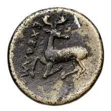 Sostra athens rev