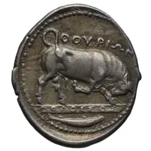 coin rev