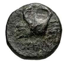 coin rev
