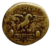 coin rev