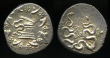 coin rev