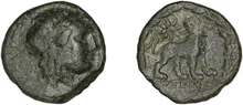 coin rev