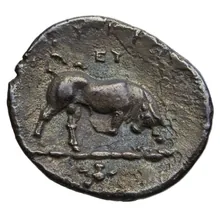 coin rev