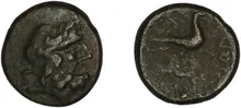 coin rev