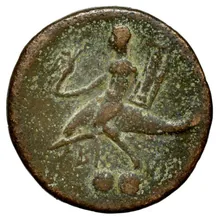 coin rev
