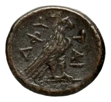 coin rev