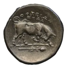 coin rev