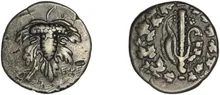 coin rev