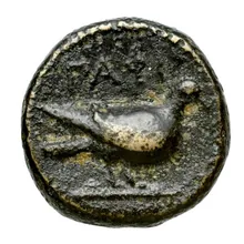 coin rev