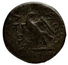 coin rev