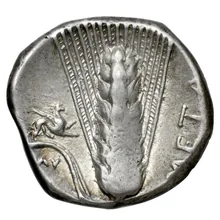 coin rev