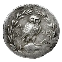 coin rev