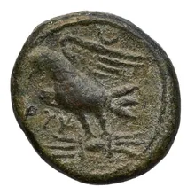 coin rev