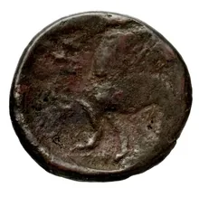 coin rev