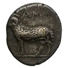 coin rev