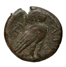 coin rev