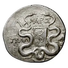 coin rev