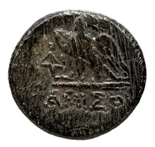 coin rev