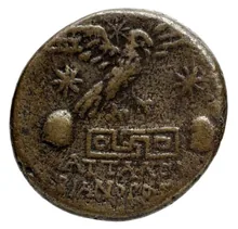coin rev
