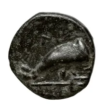 coin rev