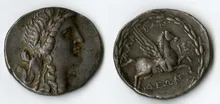 coin rev