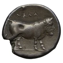 coin rev
