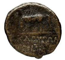 coin rev