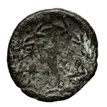 coin rev