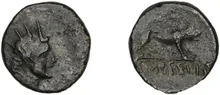 coin rev
