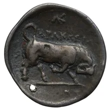 coin rev