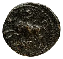 coin rev