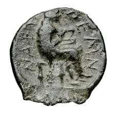 coin rev