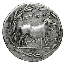 coin rev