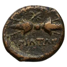 coin rev