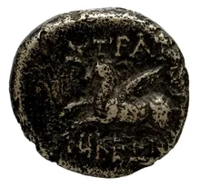 coin rev