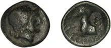 coin rev