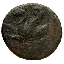 coin rev